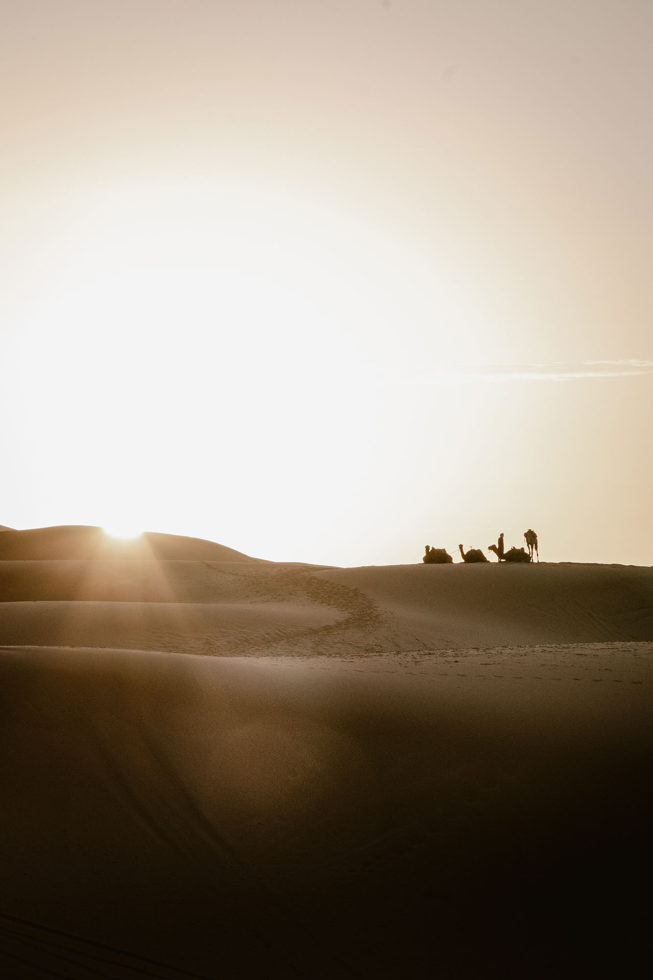 Camel riding in the Moroccan dessert watching the sunset
