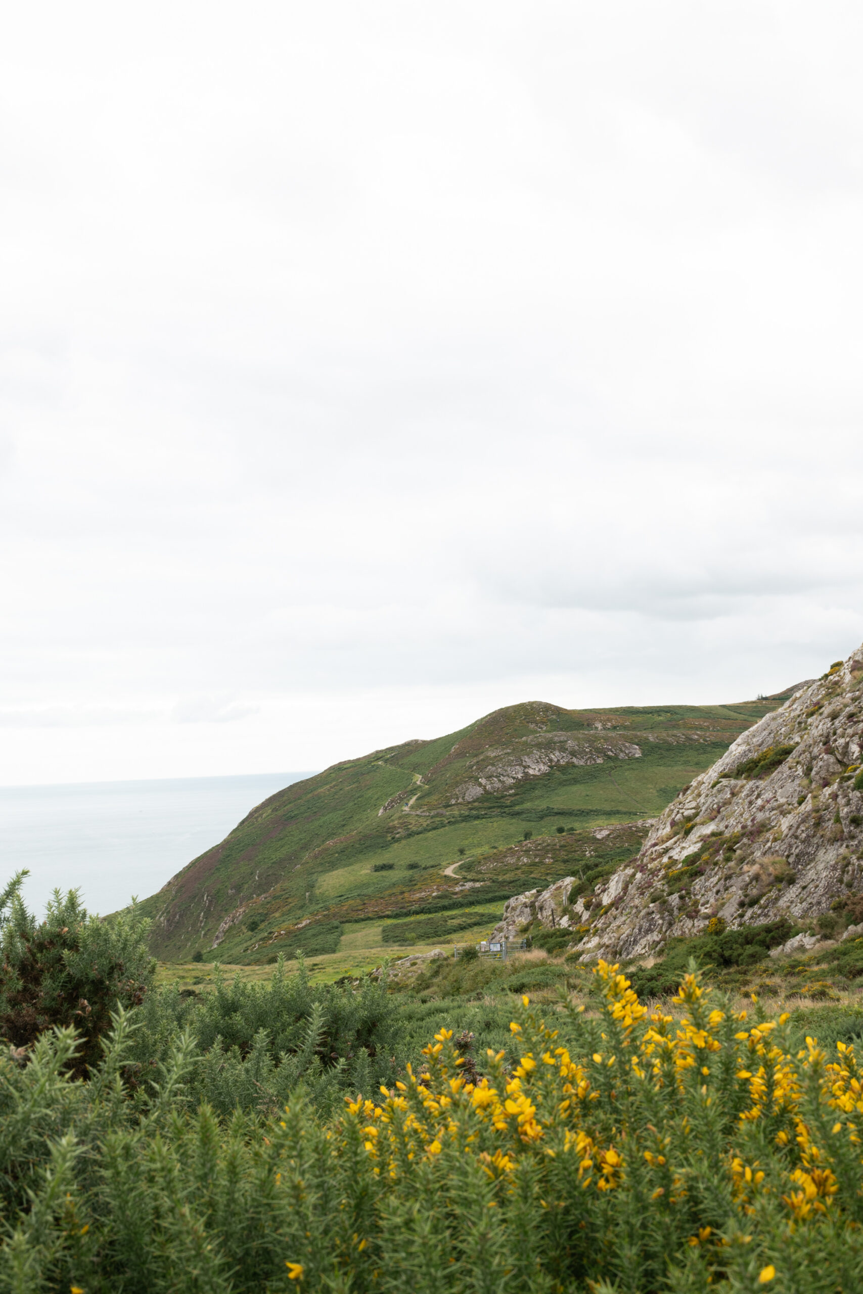 The view from the Bray Head hike in Ireland