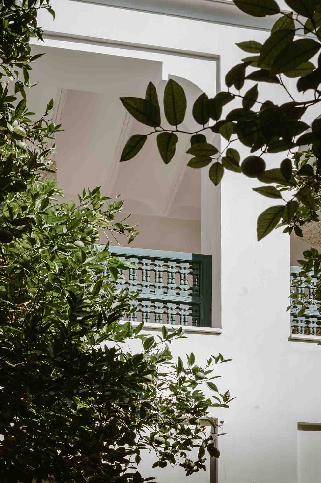 Traditional Moroccon riad surrounded by trees.