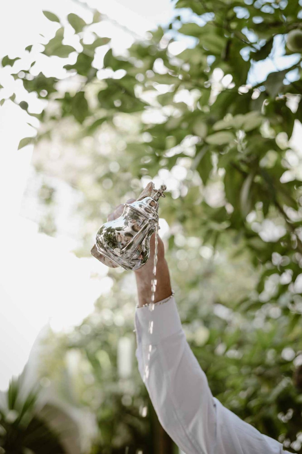 Traditional Moroccon tea being served in a natural environment with plants and leaves in the background.