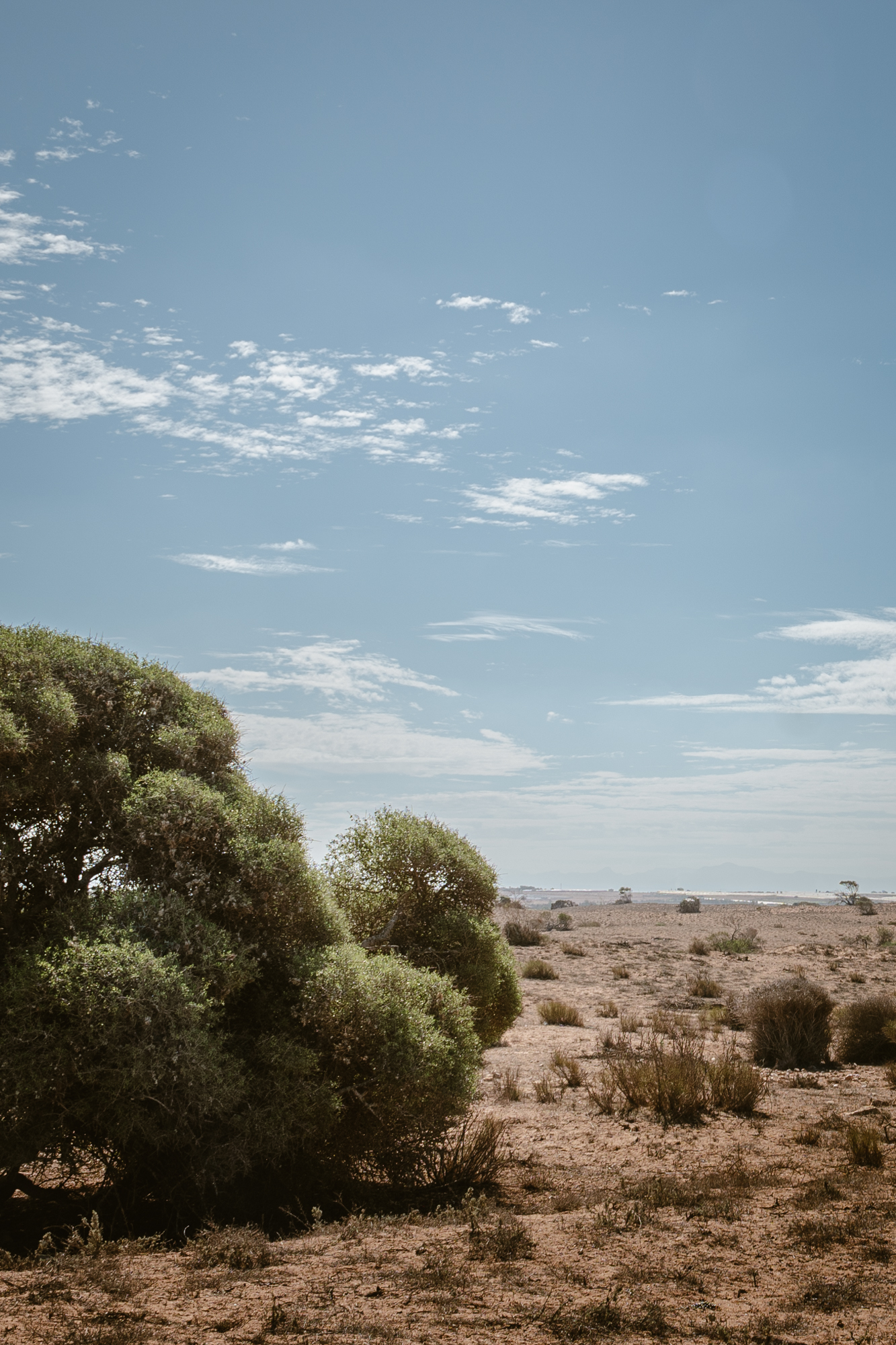 Panoramic view of Souss-Massa National Park in Morocco, when doing the jeep safari.