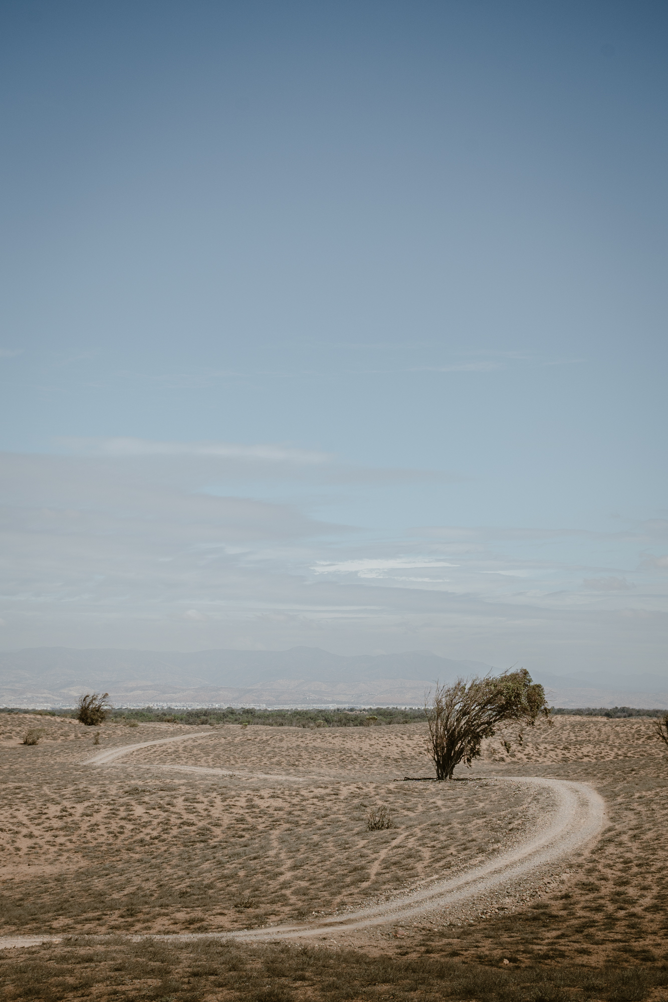 Panoramic view of the road you follow through Souss-Massa National Park in Morocco, when doing the jeep safari.